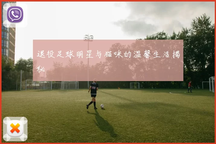 退役足球明星与猫咪的温馨生活揭秘