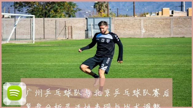 广州乒乓球队与北京乒乓球队赛后复盘分析灵活性表现与战术调整