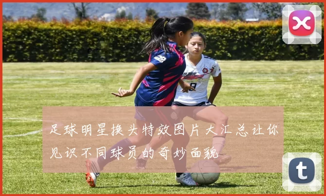 足球明星换头特效图片大汇总让你见识不同球员的奇妙面貌